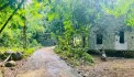 BÁN ĐẤT KIM BÔI VIEW SUỐI CỰC ĐẸP GIÁ CHỈ NHỈNH 1 TỶ