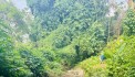 BÁN ĐẤT KIM BÔI VIEW SUỐI CỰC ĐẸP GIÁ CHỈ NHỈNH 1 TỶ