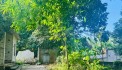BÁN ĐẤT KIM BÔI VIEW SUỐI CỰC ĐẸP GIÁ CHỈ NHỈNH 1 TỶ