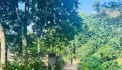 BÁN ĐẤT KIM BÔI VIEW SUỐI CỰC ĐẸP GIÁ CHỈ NHỈNH 1 TỶ