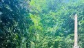 BÁN ĐẤT KIM BÔI VIEW SUỐI CỰC ĐẸP GIÁ CHỈ NHỈNH 1 TỶ