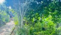 BÁN ĐẤT KIM BÔI VIEW SUỐI CỰC ĐẸP GIÁ CHỈ NHỈNH 1 TỶ