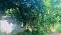 BÁN ĐẤT KIM BÔI VIEW SUỐI CỰC ĐẸP GIÁ CHỈ NHỈNH 1 TỶ