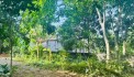 BÁN ĐẤT KIM BÔI VIEW SUỐI CỰC ĐẸP GIÁ CHỈ NHỈNH 1 TỶ