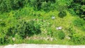  BÁN 4 LÔ ĐẤT VIEW RUỘNG LÚA – KIM BÔI, HÒA BÌNH 