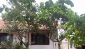  BÁN ĐẤT TẶNG NHÀ – YÊN BÀI, BA VÌ, HÀ NỘI 