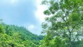 BÁN KHUÔN VIÊN VILLA 1400M ĐANG VẬN HÀNH GIÁ 1X TỶ