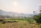 BÁN BÁN SIÊU PHẨM LÔ ĐẤT 6750M TẠI CAO PHONG HB VIEW THIÊN NHIÊN SIÊU ĐẸP GIÁ 3.X TỈ