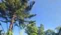 CẦN BÁN CĂN VILLA GIÁ 4.X TỈ CÁCH HN 33KM NHIỀU TIỆN ÍCH TẠI CƯ YÊN LƯƠNG SƠN HB