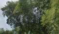 LÔ ĐẤT NGHỈ DƯỠNG VIEW SÔNG 2314M 400 THỔ CƯ ,GIÁ 1.X TỶ SIÊU ĐẸP