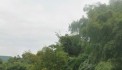LÔ ĐẤT NGHỈ DƯỠNG VIEW SÔNG 2314M 400 THỔ CƯ ,GIÁ 1.X TỶ SIÊU ĐẸP