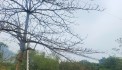 SIÊU PHẨM NGHỈ DƯỠNG GẦN HỒ VIEW CỰC CHILL - VÔ CÙNG TIỀM NĂNG ĐỂ PHÁT TRIỂN CÁCH HN CHỈ HƠN 30KM
