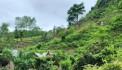 LÔ ĐẤT VÀNG HOMESTAY 30.000m² TẠI TÂN LẠC HB , TỌA LẠC NGAY TT THỊ TRẤN KHOẢNG 1X TỶ - ĐẦY ĐỦ TIỆN ÍCH NHIỀU TIỀM NĂNG LỢI THẾ ĐỂ KINH DOANH VÀ PHÁT TRIỂN