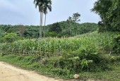 LÔ ĐẤT 2.100M 750 THỔ CƯ CẦN BÁN GẤP GIÁ CHỈ 3.X TỈ -KHU ĐẤT PHÂN LÔ PHÙ HỢP ĐẦU TƯ NGHỈ DƯỠNG