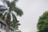 BÁN BIỆT THỰ KHU CẢNH ĐỒI MỸ QUANG – PHÚ MỸ HƯNG, QUẬN 7