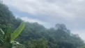 LÔ ĐẤT 2.100M 750 THỔ CƯ CẦN BÁN GẤP GIÁ CHỈ 3.X TỈ -KHU ĐẤT PHÂN LÔ PHÙ HỢP ĐẦU TƯ NGHỈ DƯỠNG