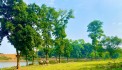 LÔ ĐẤT VÀNG LÔ ĐẤT BÁM HỒ SIÊU CỰC ĐẸP 4766m2 có 1000m đất thổ cư.CÁCH NGÃ TƯ XUÂN MAI 5KM -GIÁ CHỈ 30.X TỈ