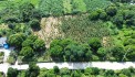 CẦN BÁN GẤP LÔ ĐẤT 5040M  500M thổ cư - mặt tiền 80m CÓ ĐƯỜNG OTO TRÁNH RỘNG TẠI LƯƠNG SƠN HB  THOẢI MÁI