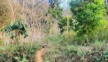 CẦN BÁN GẤP LÔ ĐẤT 1500M 400m THỔ CƯ 1100m ĐẤT VƯỜN TẠI ĐÀ BẮC HÒA BÌNH GIÁ 3.X TỈ
