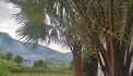 CỰC HOT KHUÔN VIÊN NHÀ VƯỜN 1052m .CHỈ NHỈNH 2.X TỈ TẠI ĐÀ BẮC-HÒA BÌNH