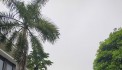 BÁN BIỆT THỰ KHU CẢNH ĐỒI MỸ QUANG – PHÚ MỸ HƯNG, QUẬN 7