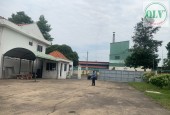 BÁN / CHO THUÊ NHÀ XƯỞNG – KCN TRẢNG BÀNG, TN - 11.000m²