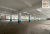 CHO THUÊ KHO – PHƯỜNG HIỆP THÀNH, TP. THỦ DẦU MỘT, BÌNH DƯƠNG – 9.900m²