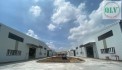 CHO THUÊ NHÀ XƯỞNG MỚI XÂY – KCN PHƯỚC ĐÔNG, GÒ DẦU, TN – 14.459m²