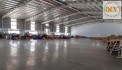 BÁN NHÀ XƯỞNG – KCN THÀNH THÀNH CÔNG, TRẢNG BÀNG, TÂY NINH – 8.528m²