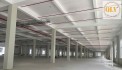CHO THUÊ NHÀ XƯỞNG – KCN BÀU BÀNG, BÌNH DƯƠNG – 52.815m²