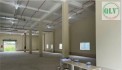 CHO THUÊ NHÀ XƯỞNG – PHƯỜNG BÌNH CHIỂU, TP. THỦ ĐỨC –  1.400m²
