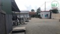 CHO THUÊ NHÀ XƯỞNG PHƯỚC TÂN, BIÊN HÒA, ĐN - 5.600m²