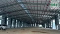 CHO THUÊ NHÀ XƯỞNG – CHÁNH PHÚ HÒA, BẾN CÁT, BD – 2.772m²