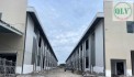 CHO THUÊ KHU NHÀ XƯỞNG – KCN BÀU BÀNG, BD – 52.815m²