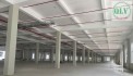 CHO THUÊ KHU NHÀ XƯỞNG – KCN BÀU BÀNG, BD – 52.815m²
