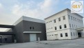 CHO THUÊ NHÀ XƯỞNG – KCN TÂN BÌNH, BD – 24.000m²