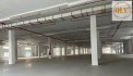 CHO THUÊ NHÀ XƯỞNG – KCN TÂN BÌNH, BD – 24.000m²