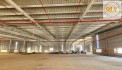 CHO THUÊ NHÀ XƯỞNG XÂY MỚI – ĐỒNG PHÚ, BÌNH PHƯỚC – 20.227m²