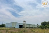 CHO THUÊ NHÀ XƯỞNG TÂN AN, VĨNH CỬU, ĐỒNG NAI 4.500m²