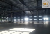 CHO THUÊ NHÀ XƯỞNG MỚI XÂY DỰNG KCN LONG HẬU, CẦN GIUỘC, LONG AN 6.552m²