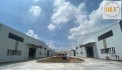 CHO THUÊ NHÀ XƯỞNG MỚI XÂY KCN PHƯỚC ĐÔNG 14.459m²