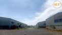 BÁN NHÀ XƯỞNG QL22B, CẨM GIANG, GÒ DẦU, TN 48.888m²