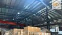 CHO THUÊ/ BÁN NHÀ XƯỞNG – KCN BÀU BÀNG, BD – 6.000m²