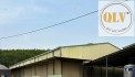 CHO THUÊ ĐẤT VÀ NHÀ XƯỞNG VĨNH TÂN, VĨNH CỬU, ĐỒNG NAI 5.000m2