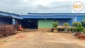 CHO THUÊ NHÀ XƯỞNG ĐỒNG PHÚ, BP - 10.000m²