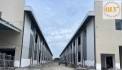 CHO THUÊ KHU NHÀ XƯỞNG KCN BÀU BÀNG 52.815m²