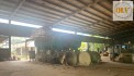 CHO THUÊ ĐẤT VÀ NHÀ XƯỞNG VĨNH CỬU, ĐN 5.000m²