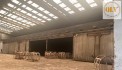 CHO THUÊ ĐẤT VÀ NHÀ XƯỞNG VĨNH CỬU, ĐN 5.000m²