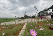 Hơn 100m2 đất view cánh đồng, mùa nước, cực chill ngay sát Hà nội và Hoà lạc