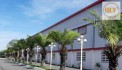 Cho thuê nhà xưởng CCN Bình Chánh 60.000m²